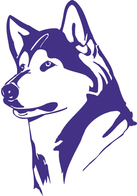 Washington Huskies 1995-2000 Partial Logo v2 diy DTF decal sticker